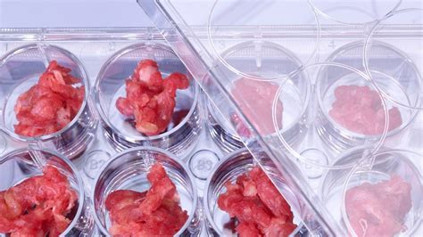 Lab Grown Meat Is Safe To Eat According To The Fda Cnet