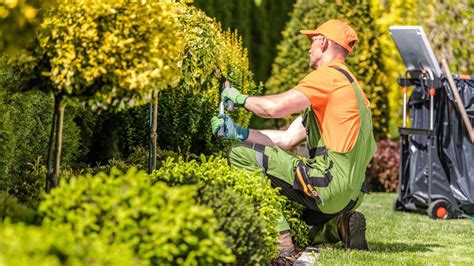 Why Should One Hire Insured Landscaping Contractors