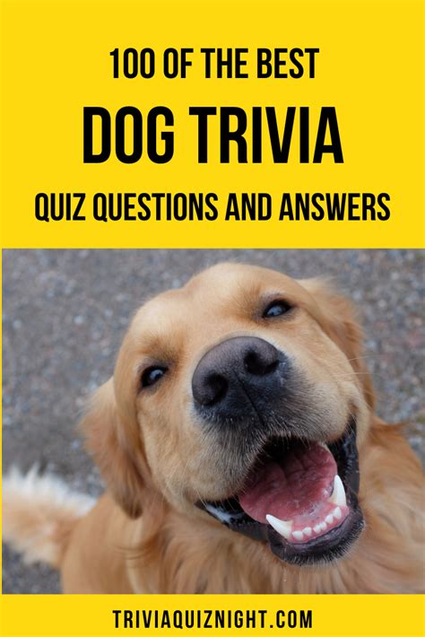 100 Dog Trivia Questions And Answers Artofit
