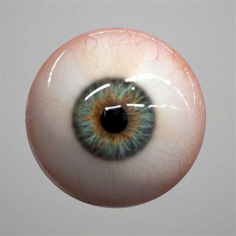 Ma Eye Realistic Human Realtime Eyeball Art Eye Art Digital