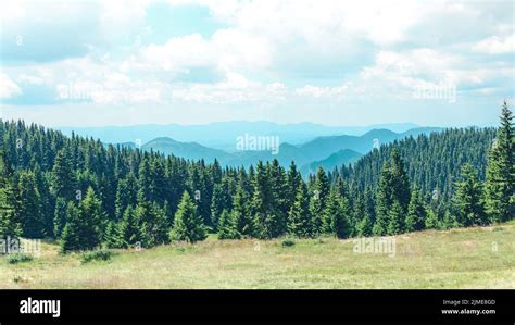 Mountain View At The Pine Forest Covered Hills Stock Photo Alamy