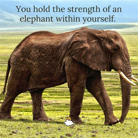 You Hold The Strength Of An Elephant Within Yourself Inspiring Quotes From Littlethings