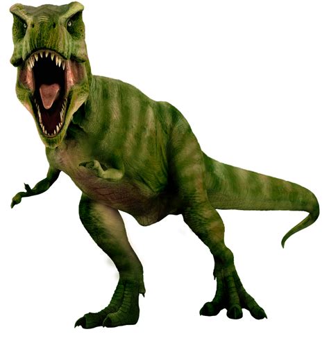 Tyrannosaurus Rex By Darbarrrr On Deviantart