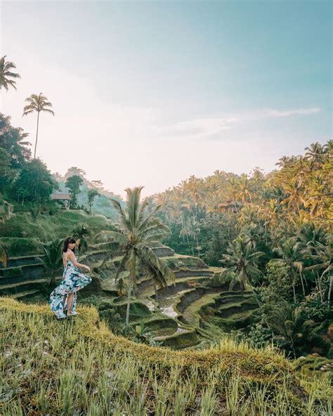 Guide To Tegalalang Rice Terrace In Ubud Travel In Our Eyes