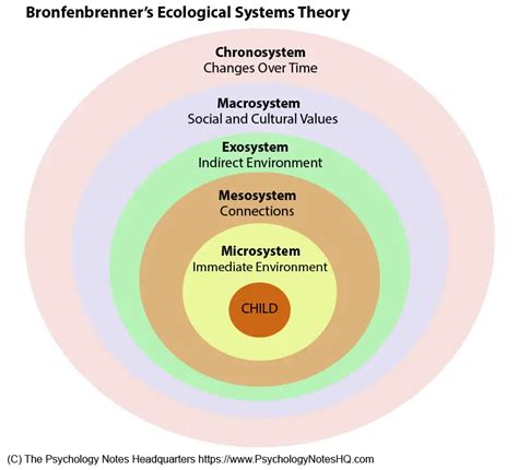 Bronfenbrenner S Microsystem Definition Concept Video Lesson My XXX