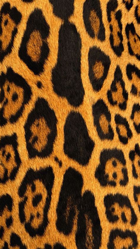 Leopard Wallpaper Phone Wallpapersafari