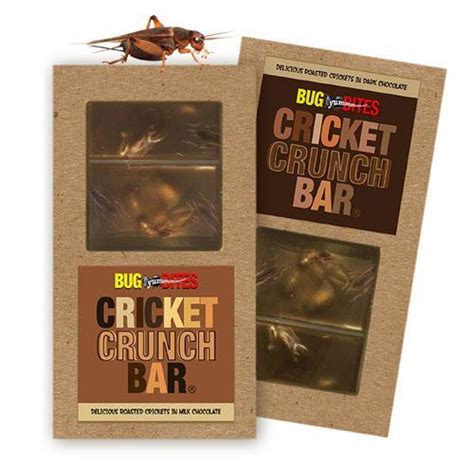 Cricket Crunch Bar Milk Chocolate Edible Insects