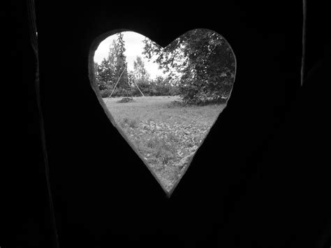 Free Images Light Black And White Love Heart