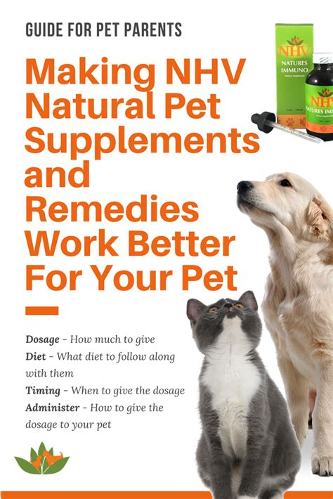 How To Make Our Natural Pet Supplements Work Better Natural Pet