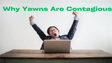 Have You Ever Wondered Why Yawns Are Contagious Youtube