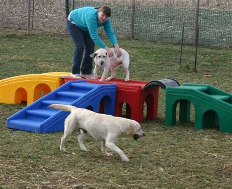 Lucky Dog Lodge Dog Activities Puppy Playground Dog Playground