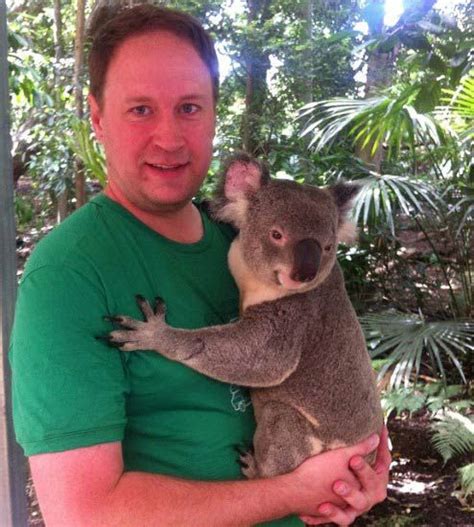 Koala And Humans Koala Bears Marsupial Wombat Cute Animals Koalas