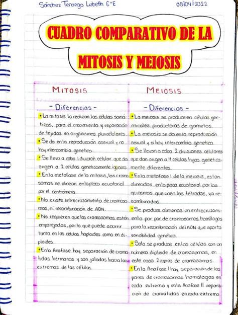 Mitosis Y Meiosis Udocz