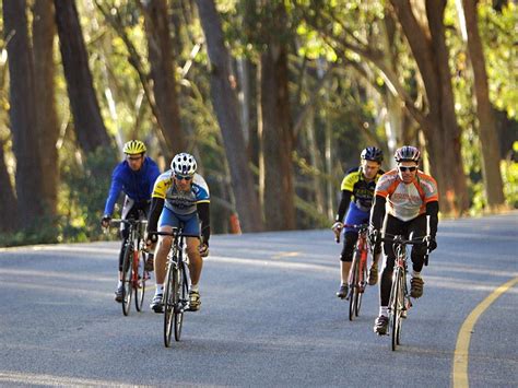 Mansfield To Jamieson Ride Attraction High Country Victoria Australia