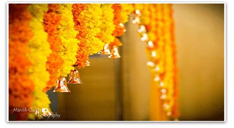 Marigold — The Perfect Indian Wedding Flower By Vandana Naina Medium