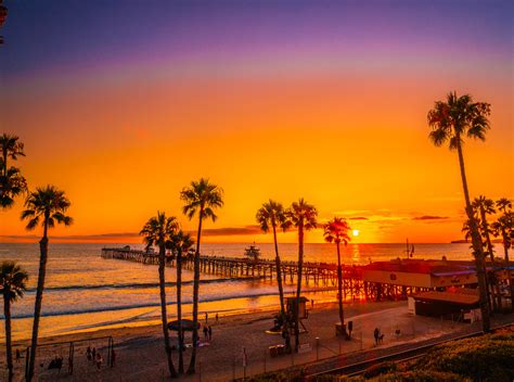 San Clemente Beach San Clemente Pier Palm Trees Sunset Fine Art