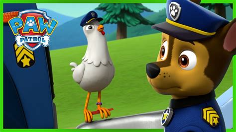 Chase And Chickaletta Switch Bodies Paw Patrol Episode Cartoons For