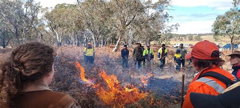Aboriginal Cultural Burning 2 Day Workshop Bungendore Nsw — Mulloon