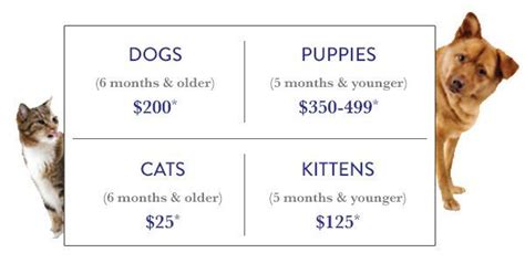 How Much Does It Cost To Adopt A Dog Pets How Much Does