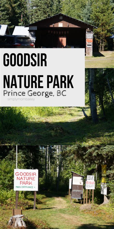 Explore Bc Goodsir Nature Park Prince George Simply Mom Bailey