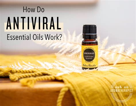 Aaa How Do Antiviral Essential Oils Work Antiviral Essential Oils Essential Oils Health