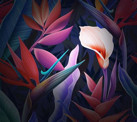 hd wallpaper flowers huawei mate 10 leaves stock colorful wallpaper flare
