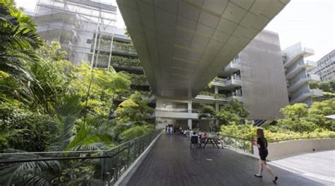 A New Remedy: Introducing Biophilic Designs into Hospitals