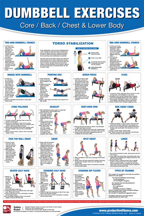 Dumbell Core Exercises Ubicaciondepersonas Cdmx Gob Mx