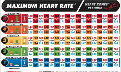 7 Steps To Using A Heart Rate Monitor Step 5 Heart Zones