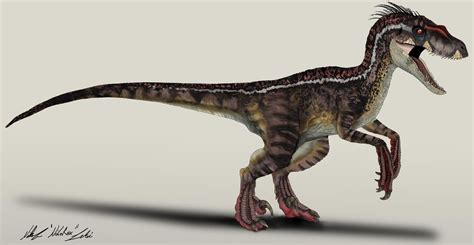 Jurassic Park Velociraptor Male By Nikorex On Deviantart