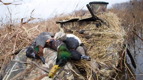 I Wish I Could Relive This Hunt - YouTube