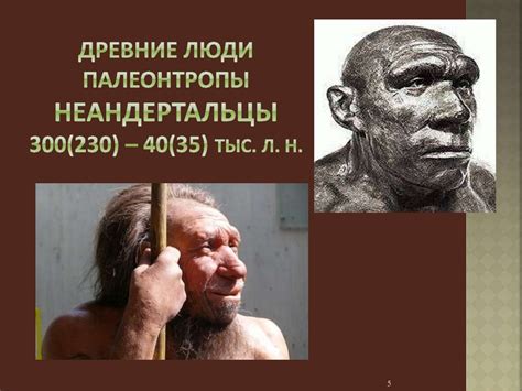 Древнейшие люди архантропы Питекантроп Антропогенез Эволюция