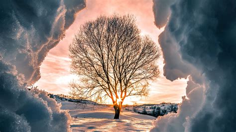 Beautiful Snow Cave With Landscape View Of Tree Under Colorful Cloudy