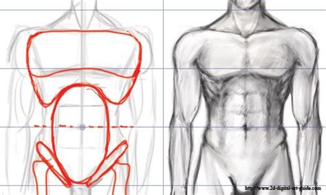 Male Torso Comic Book Drawing Human Body Drawing