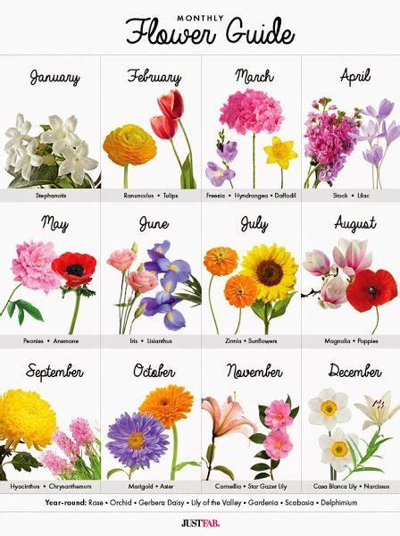 The carnation is among the oldest flowers to be cultivated, mentioned in greek literature two centuries ago. Flower Guide #Gardening | Birth flowers