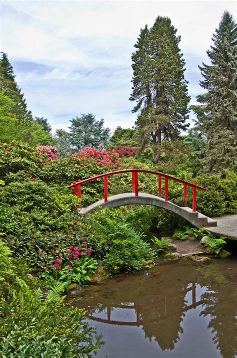 Beautiful Japanese Garden Landscape With Red Bridge