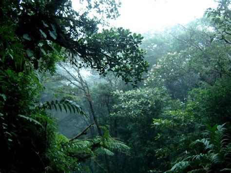 Monteverde Cloud Forest Reserve Costa Rica Lac Geo
