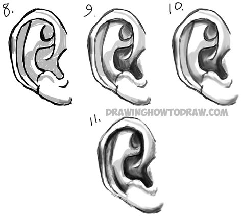 Learn How To Draw Ears And How To Shade Them Drawing And Shading Ears