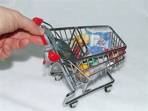 A Miniature Shopping Cart Filled With Food And Drinks Is Being Held By