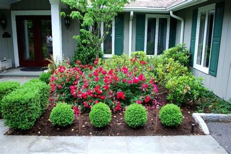 Boxwoods And Roses 1000 Front Yard Plants Low Maintenance