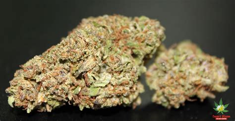 Finding a suitable purple hair dye for your hair is not an easy task. Purple Rain | Marijuana Strain Reviews | AllBud