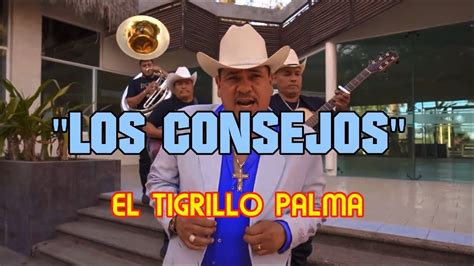 Letra Los Consejos El Tigrillo Palma Youtube