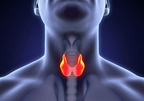 Early Signs Of Medullary Thyroid Cancer And Common Symptoms