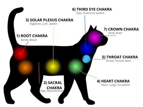 Understanding The Chakras Free Chakra Charts
