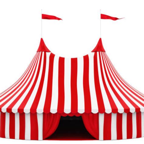 tampa media circus looking under the big tent