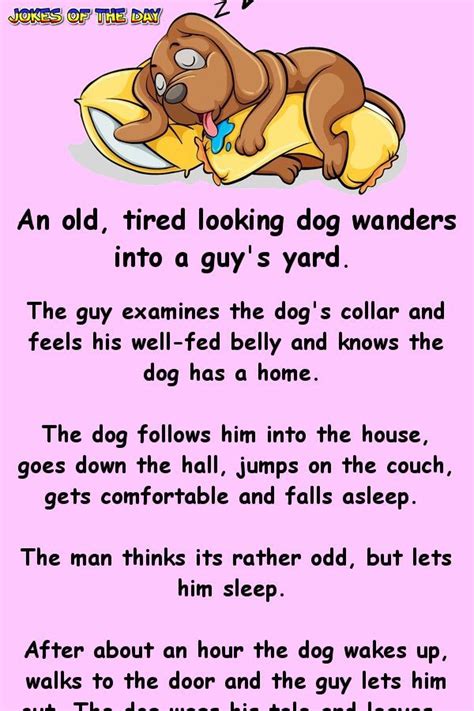 An Old Tired Looking Dog Wanders Into A Guys Yard Clean Funny Jokes