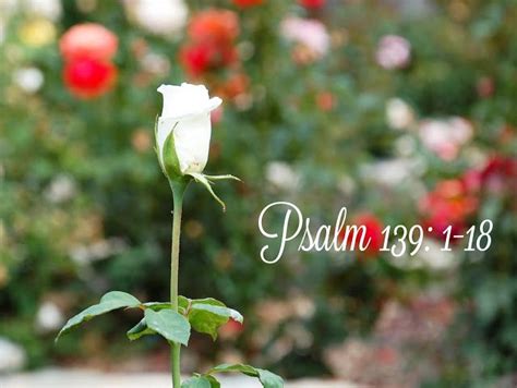 Beautifully Rooted Believe Psalms Christian Pictures Psalm 139
