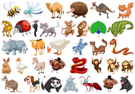 Conjunto De Animales De Dibujos Animados 474750 Vector En Vecteezy
