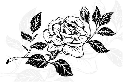 Premium Vector Hand Drawn Roses And Leaves Vintage Flower Clipart Composition Decorative