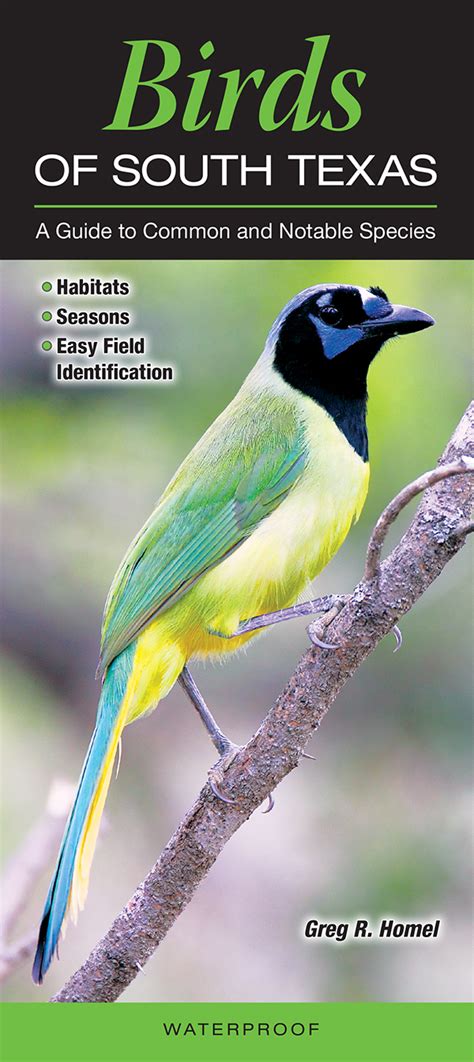 Birds Of South Texas Quick Reference Publishing